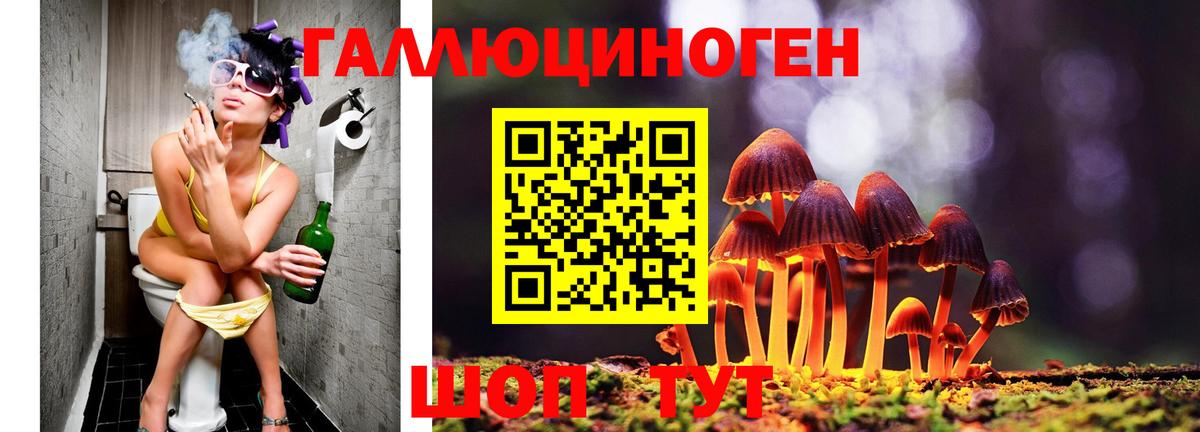 Лобня  Псилоцибиновые грибы мухоморы  Вход с VPN 